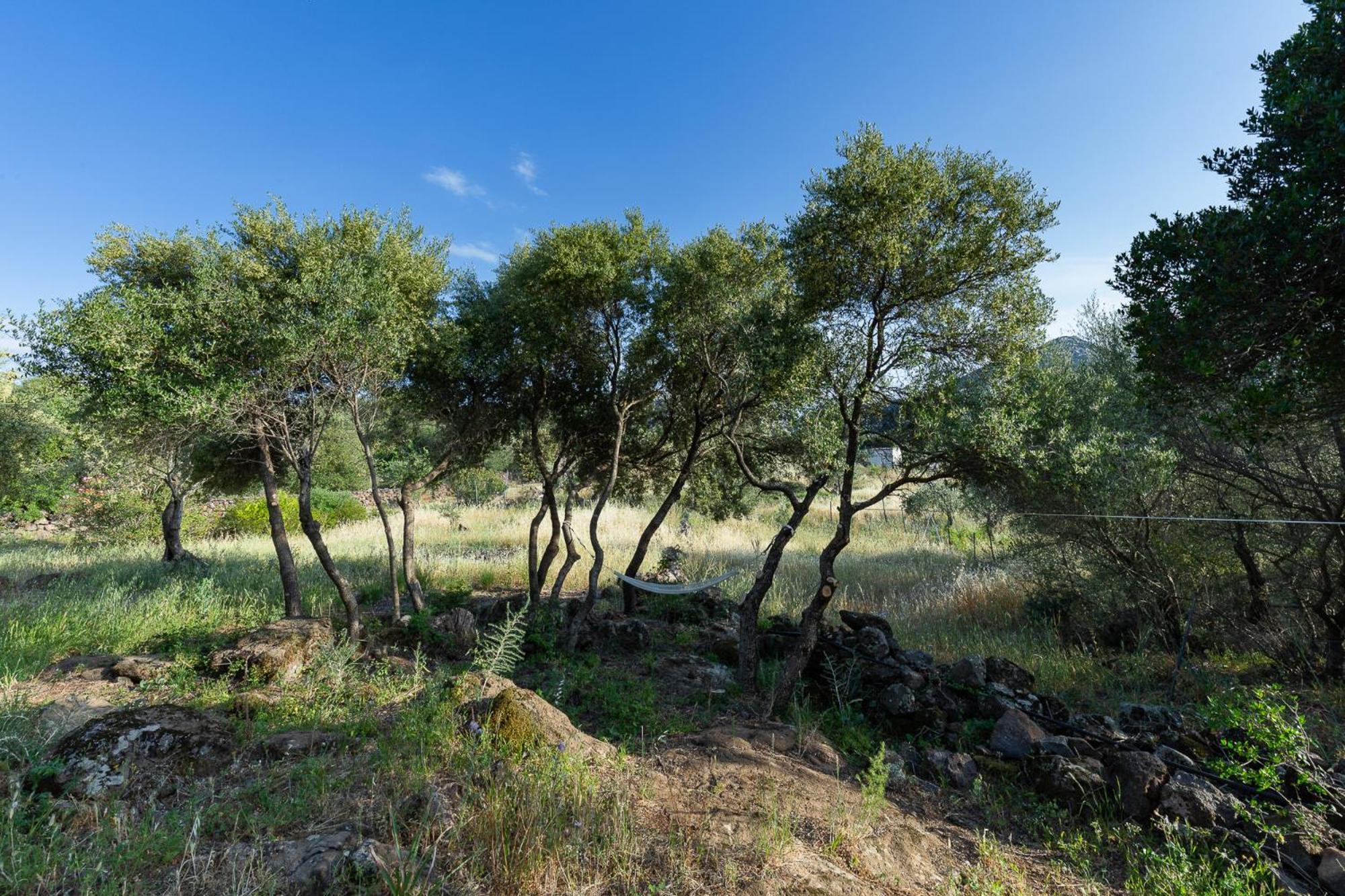 Holiday home Casa Iriai Dorgali