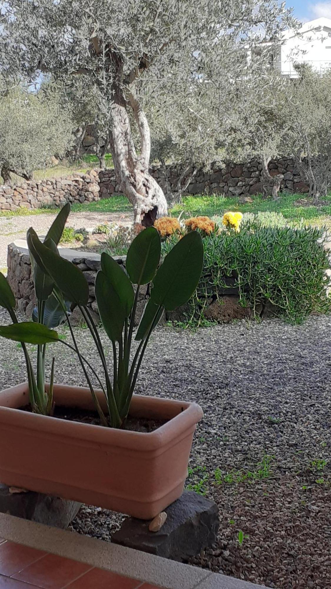Casa Iriai Ferienhaus Dorgali