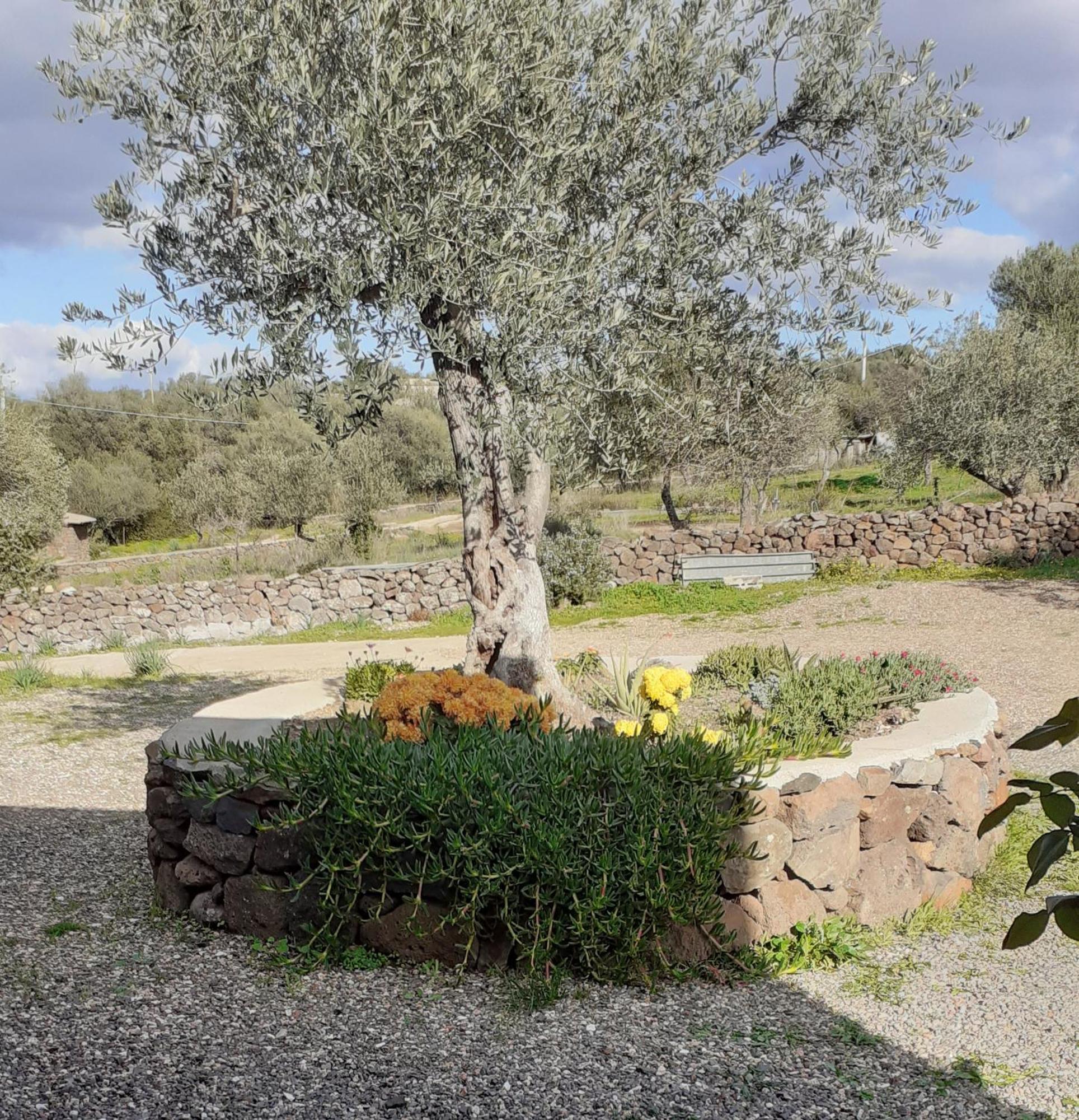 Casa Iriai * Dorgali