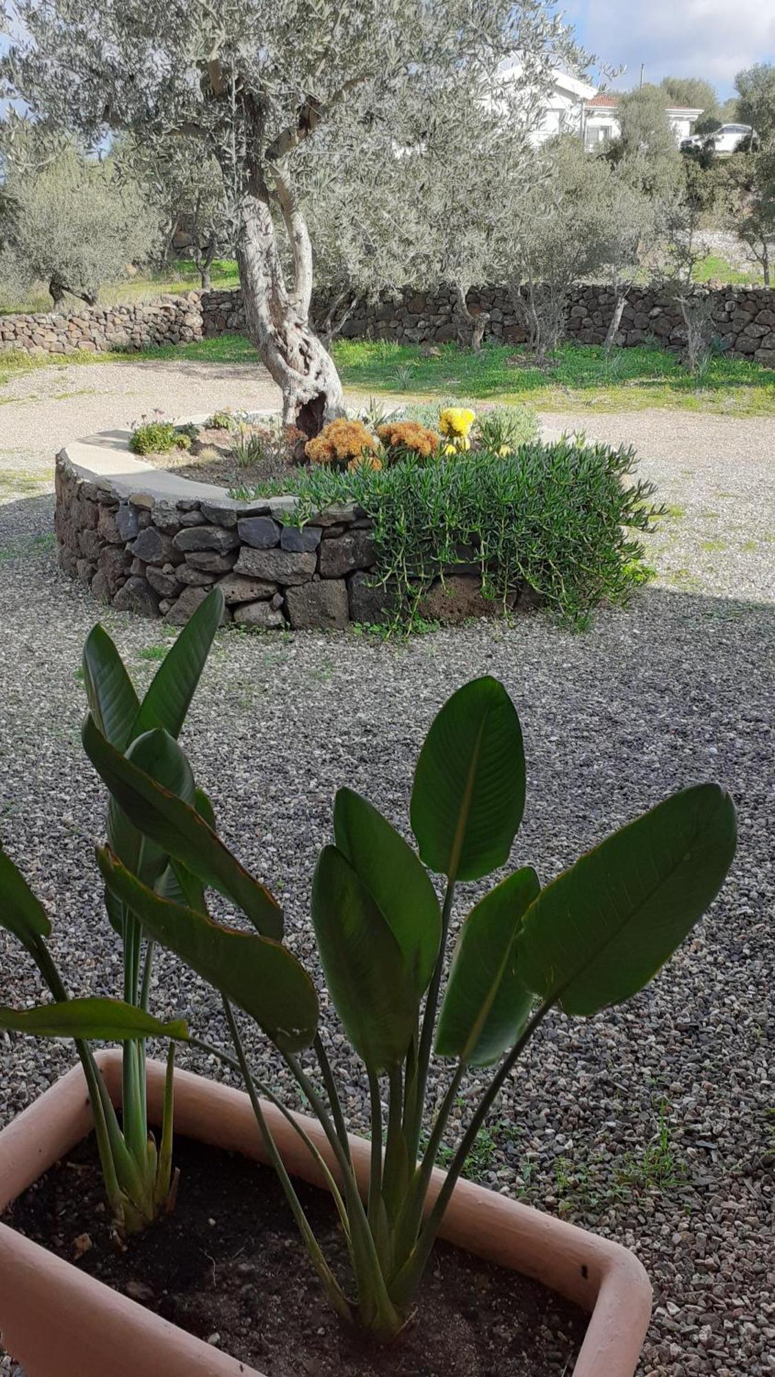 Holiday home Casa Iriai