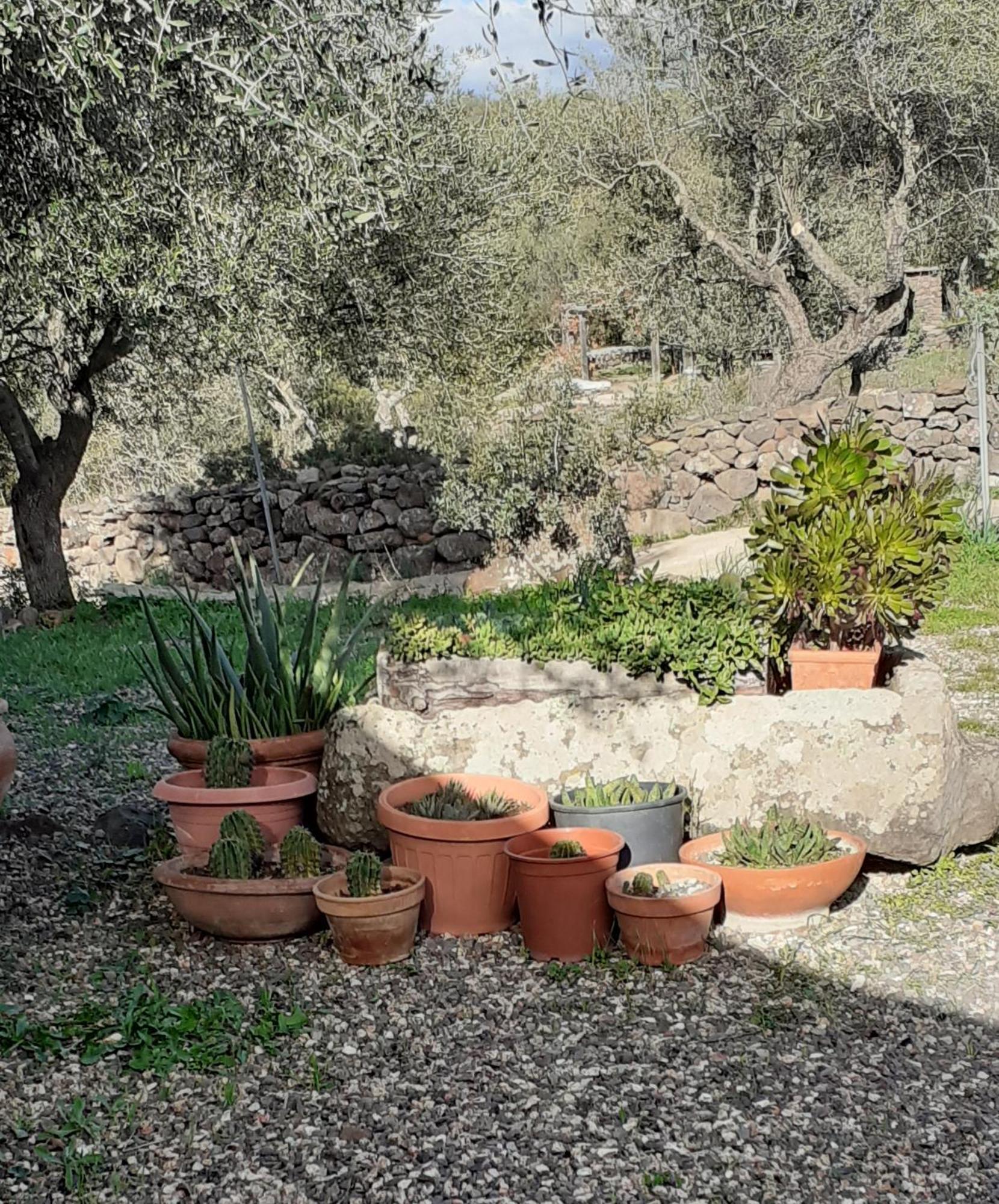 Ferienhaus Casa Iriai Dorgali
